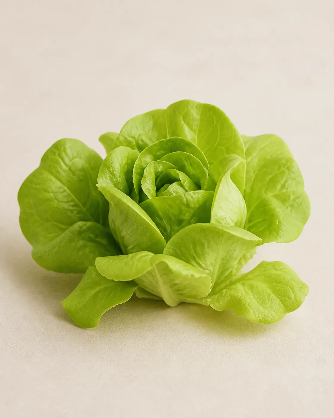 Латук